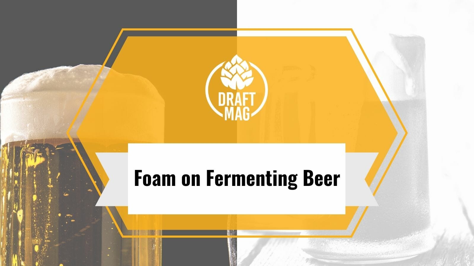 Foam on Fermenting Beer