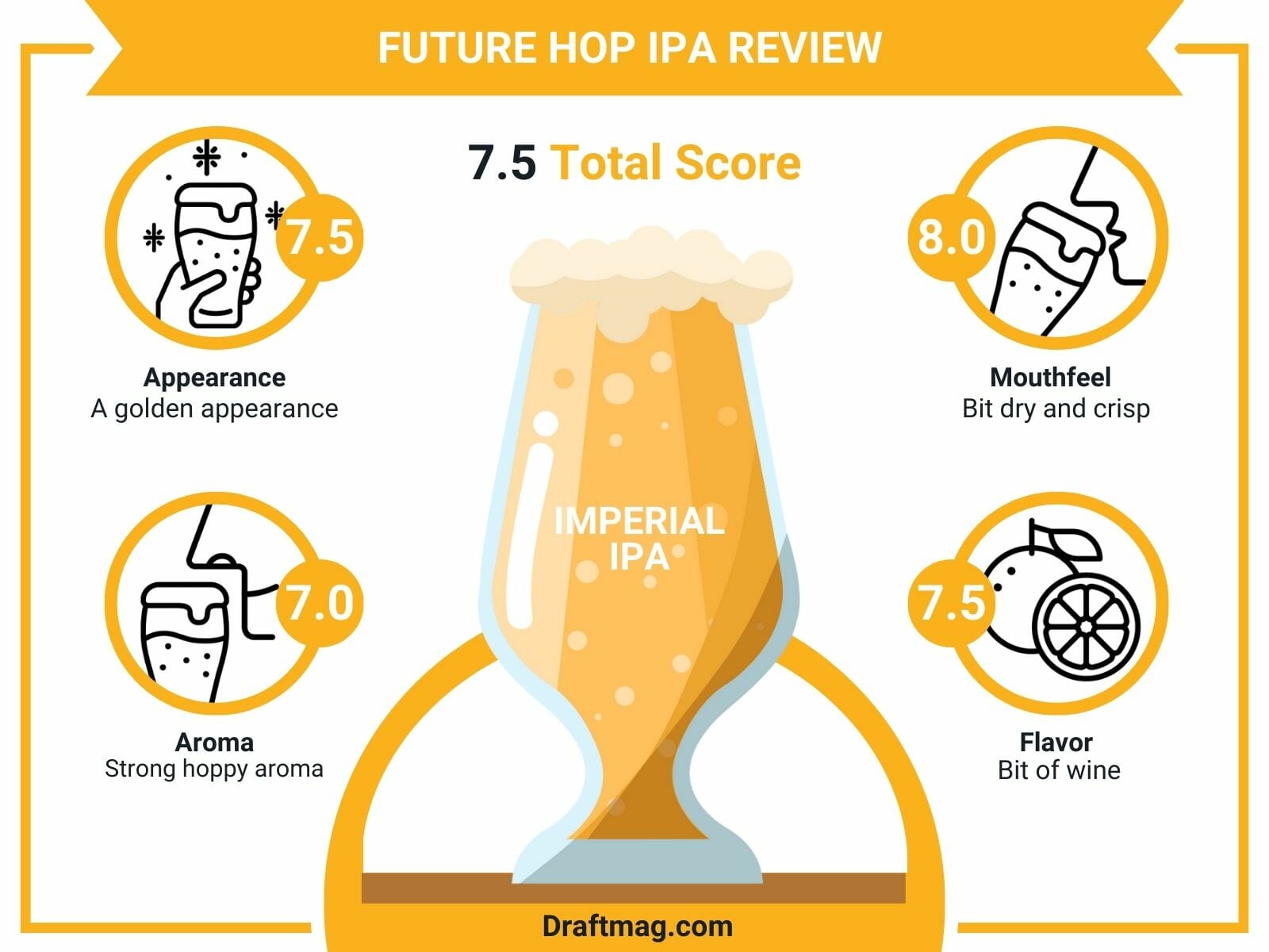 Future Hop IPA Review Infographic