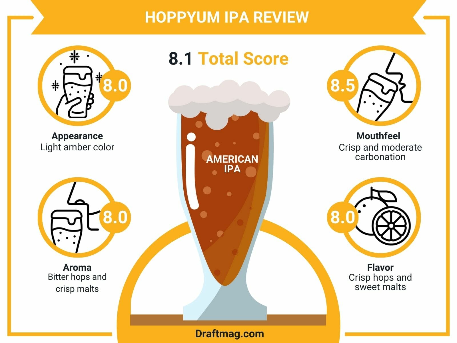 Hoppyum IPA Review Infographic