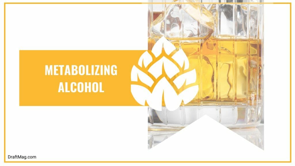 Can Non Alcoholic Beer Get You Drunk All the Answers