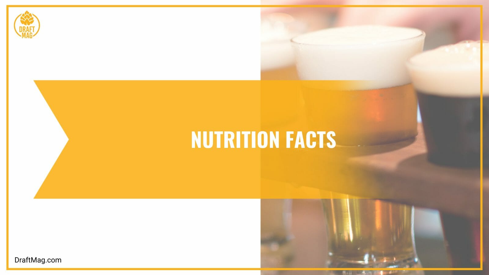 Nutrition Facts of Adios Pantalones Beer