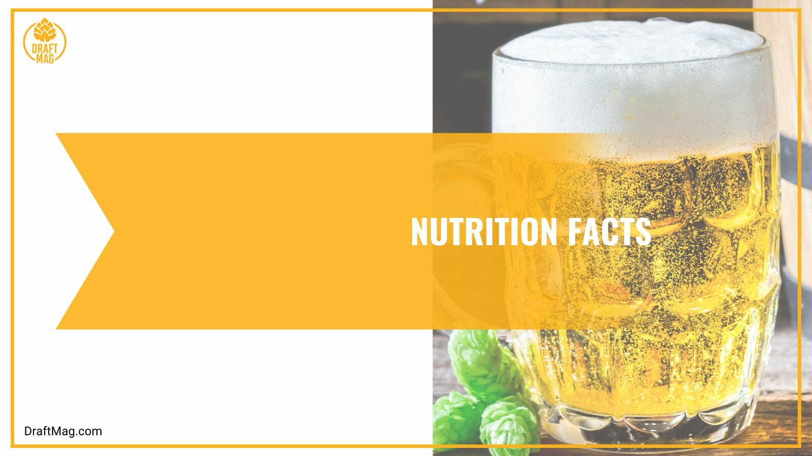 Nutrition Facts of Dr Robot Beer