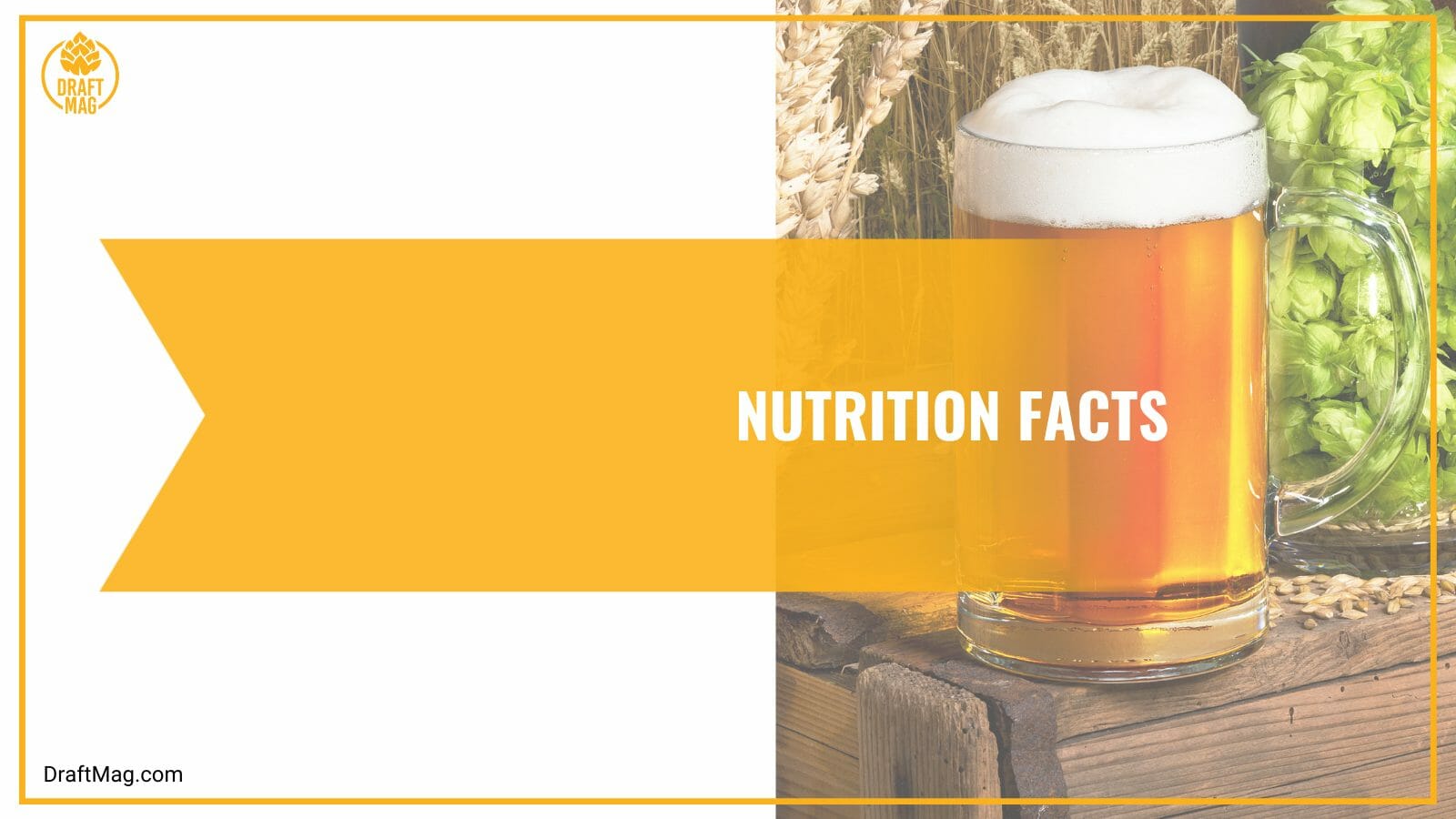 Nutrition Facts of Future Hop IPA