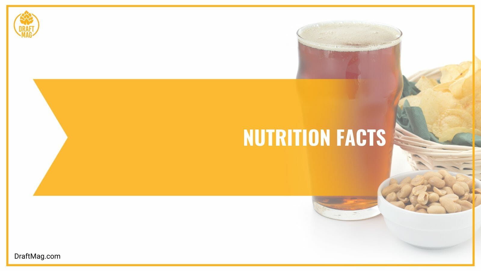 Nutrition Facts of Gummy Worms Beer