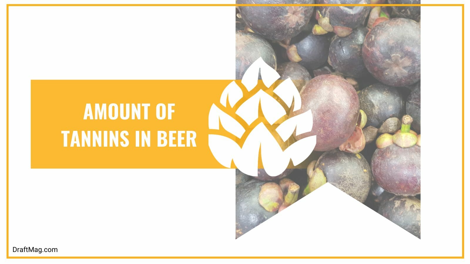 Quantity of Tannins in Beer