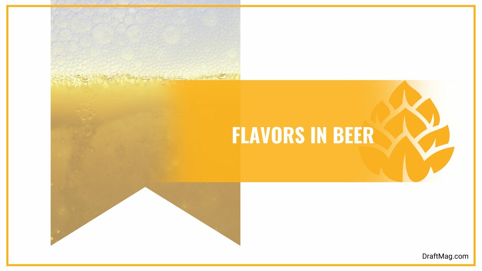 Tannins off Flavors in Beer