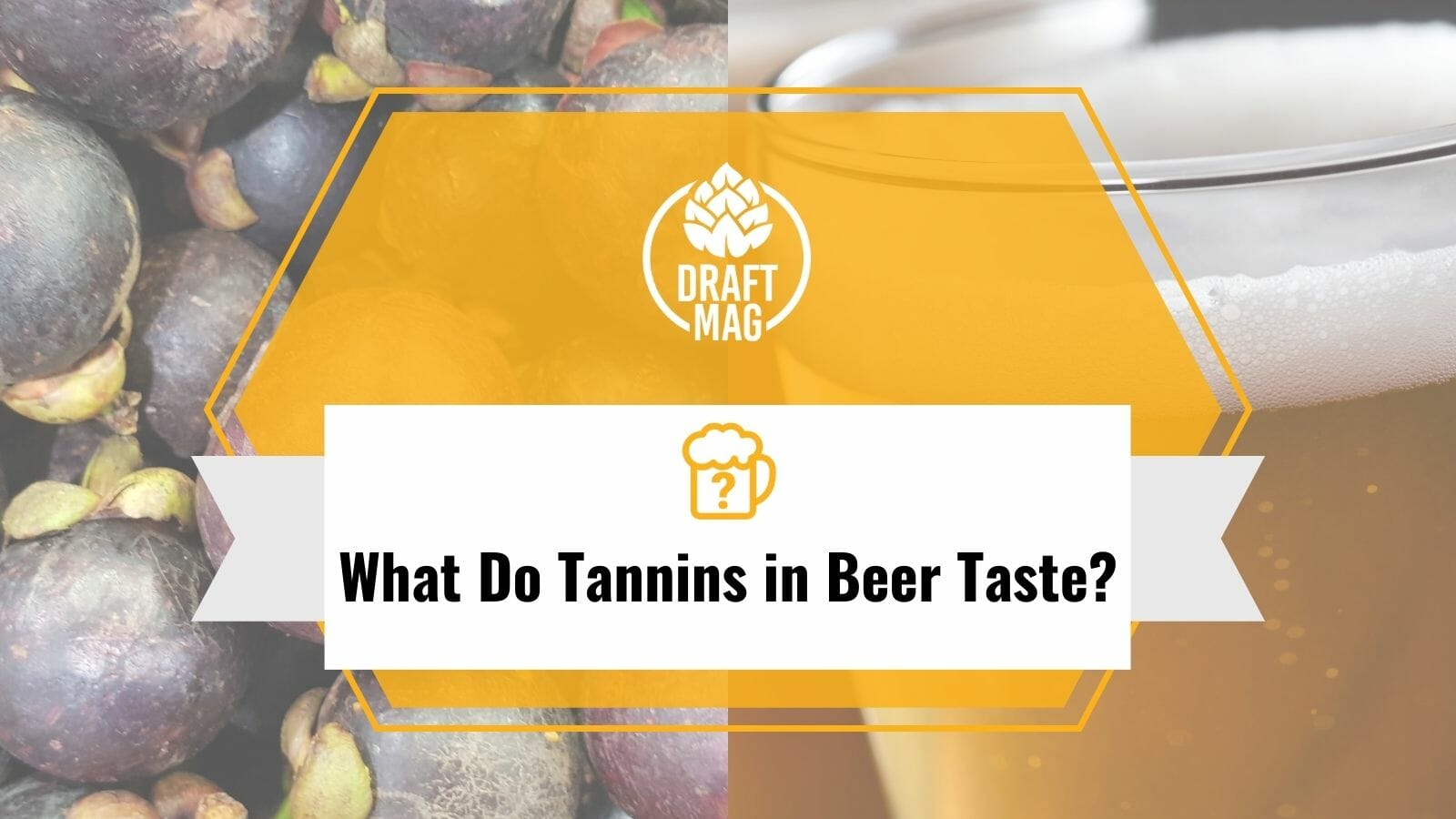 What Do Tannins in Beer Taste