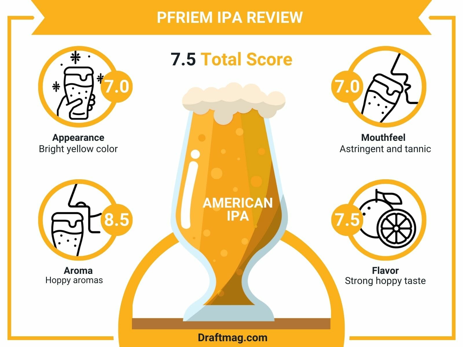 pFriem IPA Review Infographic