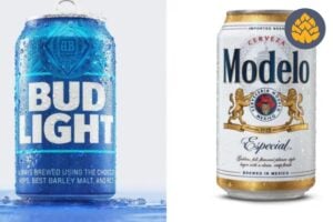 Bud light vs modelo - featured