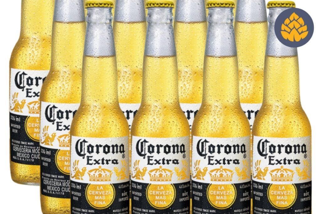 Corona beer - corona extra