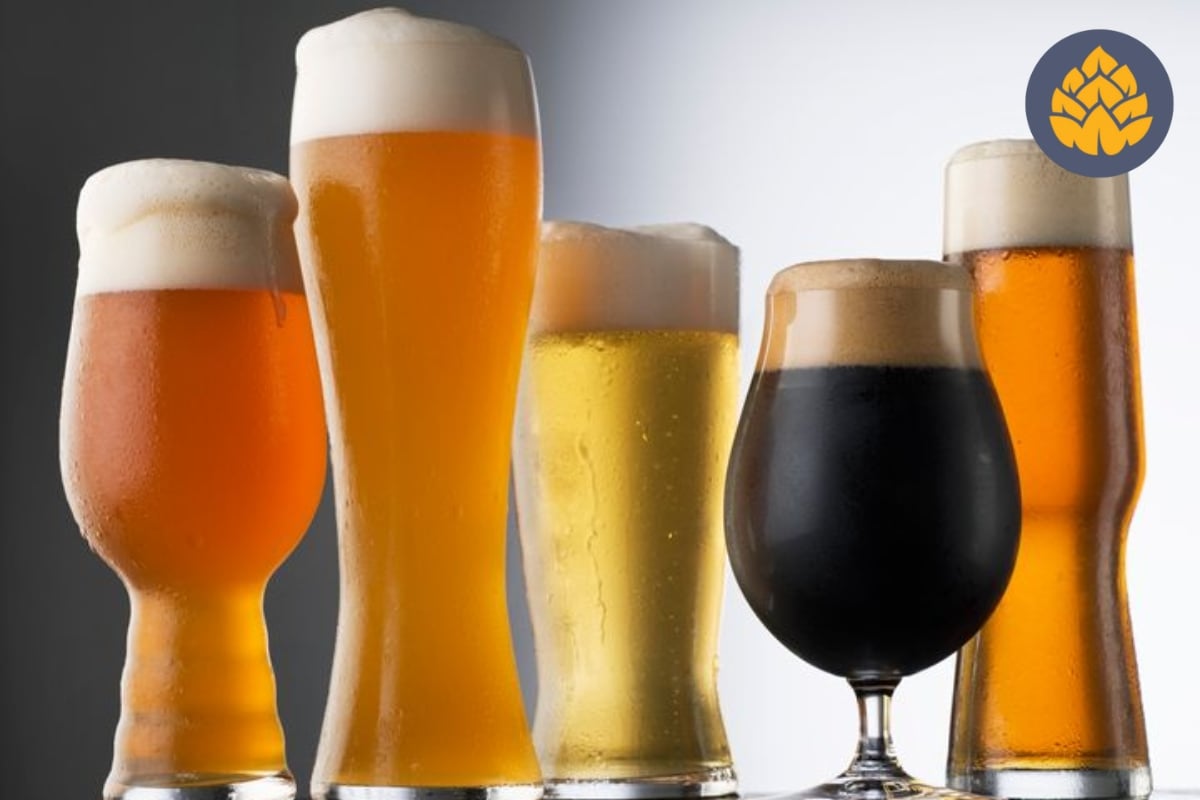 Highest Alcohol Content Beer A List of the Strongest Beer Brands