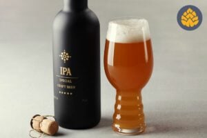 Best Non Alcoholic IPAs glass and bottle