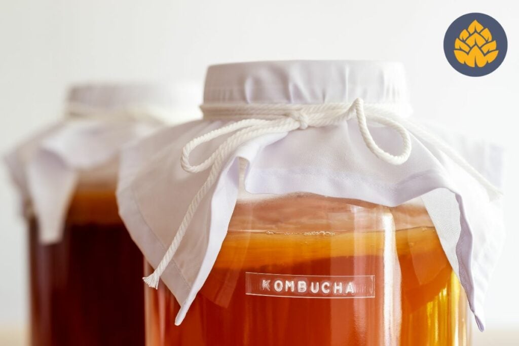 kombucha